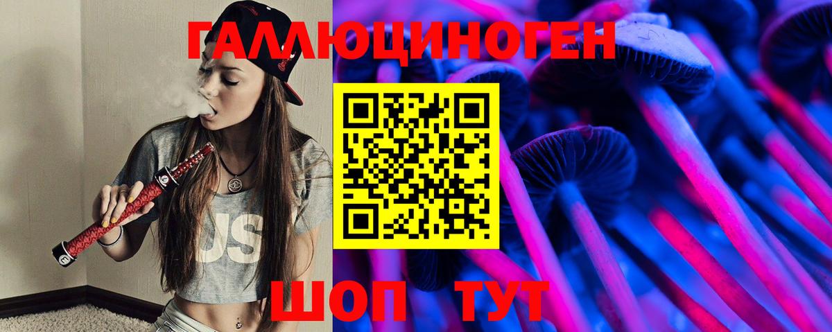 Касимов  наркотики  Вход с VPN  Псилоцибиновые грибы GOLDEN TEACHER 